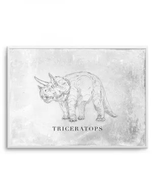 Triceratops | LS | Dinosaur Collection by oliveetoriel.com, a Prints for sale on Style Sourcebook
