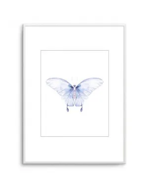 Butterfly I by oliveetoriel.com, a Prints for sale on Style Sourcebook