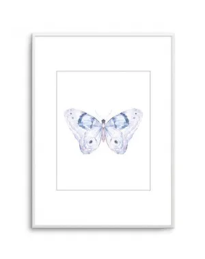 Butterfly II by oliveetoriel.com, a Prints for sale on Style Sourcebook