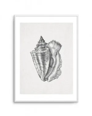 Conch Shell On Linen by oliveetoriel.com, a Prints for sale on Style Sourcebook