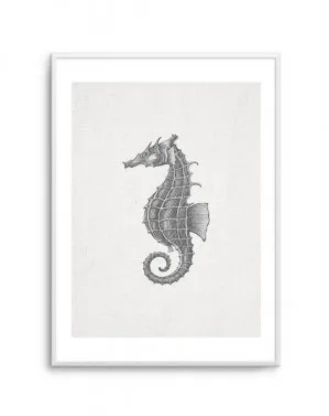 Seahorse On Linen by oliveetoriel.com, a Prints for sale on Style Sourcebook