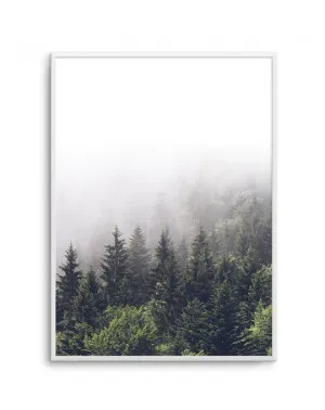 La Foret | Misty Forest PT by oliveetoriel.com, a Prints for sale on Style Sourcebook