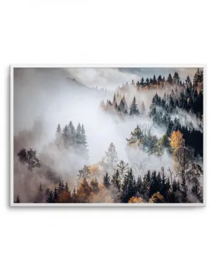 Autumn Forest Mist by oliveetoriel.com, a Prints for sale on Style Sourcebook
