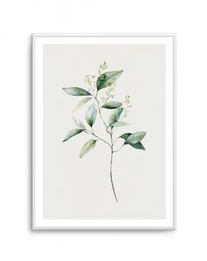 Foliage I by oliveetoriel.com, a Prints for sale on Style Sourcebook