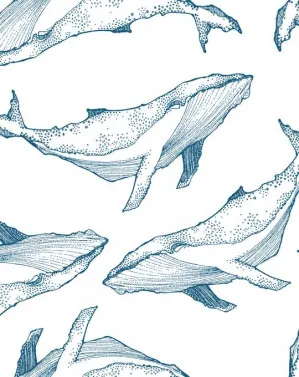 Whale Illustration | Navy on White Wallpaper by oliveetoriel.com, a Wallpaper for sale on Style Sourcebook
