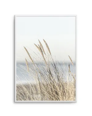 Coastal Grass by oliveetoriel.com, a Prints for sale on Style Sourcebook