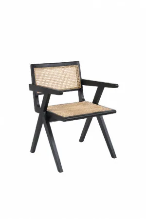 Bondi Dining Chair by M Co Living, a Dining Chairs for sale on Style Sourcebook