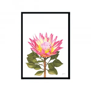 Protea Living Fine Art Print | FRAMED Black Boxed Frame A3 (29.7cm x 42cm) by Luxe Mirrors, a Artwork & Wall Decor for sale on Style Sourcebook