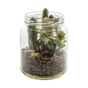 Nokou Artificial  Succulent Garden In Glass Jar by Casa Bella, a Plants for sale on Style Sourcebook