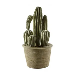 Santiago Potted Artificial Cactus San Pedro, 28cm by Casa Bella, a Plants for sale on Style Sourcebook