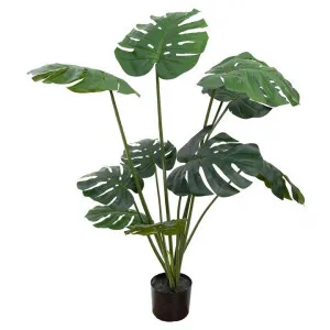 Glamorous Fusion Potted Artificial Monstera Vine Plant, 120cm by Glamorous Fusion, a Plants for sale on Style Sourcebook