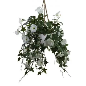 Glamorous Fusion Artificial Morning Glory in Hanging Pot, 75cm, Cream Flower by Glamorous Fusion, a Plants for sale on Style Sourcebook