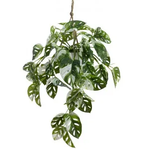 Glamorous Fusion Artificial Monstera Bush in Hanging Pot, 75cm by Glamorous Fusion, a Plants for sale on Style Sourcebook
