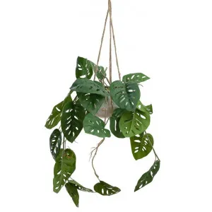 Glamorous Fusion Artificial Sellum Philo in Hanging Pot, 85cm by Glamorous Fusion, a Plants for sale on Style Sourcebook