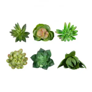 Assort of 6 Artificial Succulent Stem Set, Small by Want GiftWare, a Plants for sale on Style Sourcebook