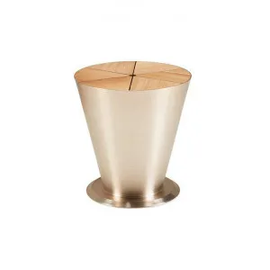 Indosoul Chilly Bin With Teak Lid, Anodised Champagne by Indosoul, a Tables for sale on Style Sourcebook