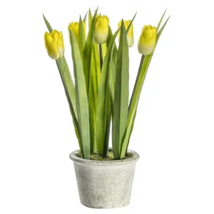 Farcath Potted Artificial Tulip, Bright Yellow Flower by Casa Bella, a Plants for sale on Style Sourcebook