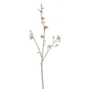 Hunstanton Artificial Cherry Blossom Spray, Pack of 3, Pink Flower by Casa Bella, a Plants for sale on Style Sourcebook