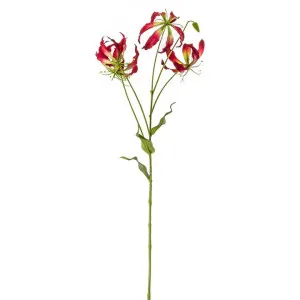 Hunstanton Artificial Glorisa Stem, Pack of 3, Red Flower by Casa Bella, a Plants for sale on Style Sourcebook