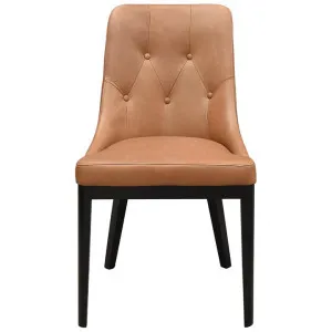 Lucida Leather Dining Chair, Tan by Dodicci, a Dining Chairs for sale on Style Sourcebook