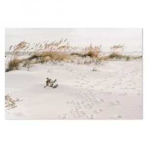 Footprints By The Beach, Soft Tone by Gioia Wall Art, a Prints for sale on Style Sourcebook