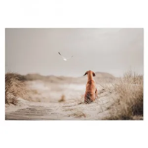 Freedom (Ii), By Heike Willers by Gioia Wall Art, a Prints for sale on Style Sourcebook