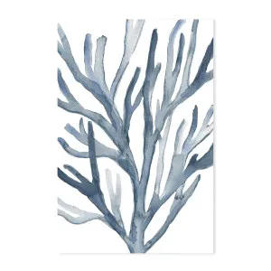 Blue Coral, Style B , By Emily Wood by Gioia Wall Art, a Prints for sale on Style Sourcebook