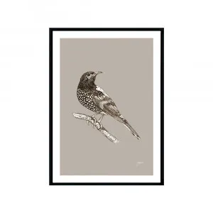 Regent Honeyeater Australian Bird in  Pine Cone Fine Art Print | FRAMED Black Boxed Frame A3 (29.7cm x 42cm) by Luxe Mirrors, a Artwork & Wall Decor for sale on Style Sourcebook