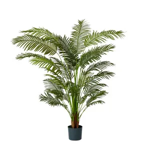Areca Palm Potted Plant Green - 110cm x 110cm x 183cm by James Lane, a Plants for sale on Style Sourcebook