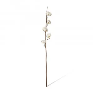 Cotton Stem White/Brown - 90cm by James Lane, a Plants for sale on Style Sourcebook