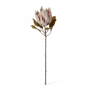 Dried Look King Protea St Light Mauve - 25cm x 25cm x 61cm by James Lane, a Plants for sale on Style Sourcebook