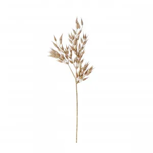 Dried Look Wheat Spray Brown - 64cm by James Lane, a Plants for sale on Style Sourcebook
