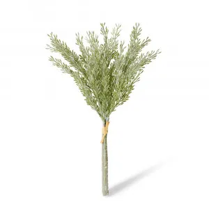 Dusty Miller Bundle Sage - 40cm by James Lane, a Plants for sale on Style Sourcebook