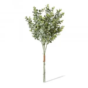 Eucalyptus Bundle Grey/Green - 64cm by James Lane, a Plants for sale on Style Sourcebook