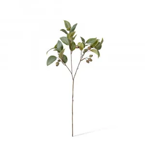 Eucy Gum Nut Spray Green - 84cm by James Lane, a Plants for sale on Style Sourcebook