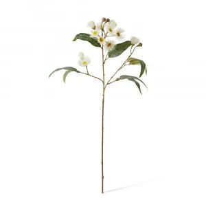 Flowering Eucalyptus Spray White - 76cm by James Lane, a Plants for sale on Style Sourcebook
