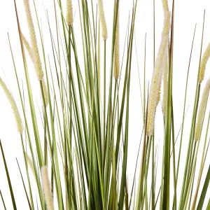 Fox Tail Grass Green/White - 70cm x 70cm x 170cm by James Lane, a Plants for sale on Style Sourcebook