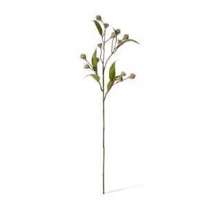 Gum Nut Stem Grey Green - 72cm by James Lane, a Plants for sale on Style Sourcebook
