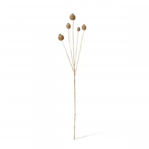 Poppy Seed Spray Light Brown - 76cm by James Lane, a Plants for sale on Style Sourcebook