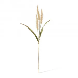 River Grass Stem Cream - 94cm by James Lane, a Plants for sale on Style Sourcebook