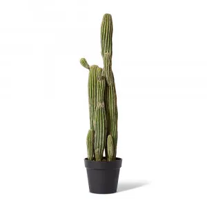 Saguaro Cactus Potted Plant Green - 25cm x 20cm x 91cm by James Lane, a Plants for sale on Style Sourcebook