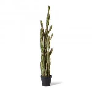 Saguaro Cactus Potted Plant Green - 30cm x 30cm x 152cm by James Lane, a Plants for sale on Style Sourcebook