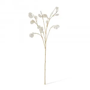 Silver Dollar Spray Pearl - 94cm by James Lane, a Plants for sale on Style Sourcebook