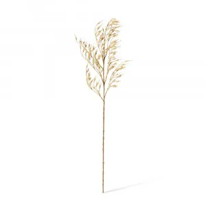 Wheat Grass Stem Natural - 89cm by James Lane, a Plants for sale on Style Sourcebook