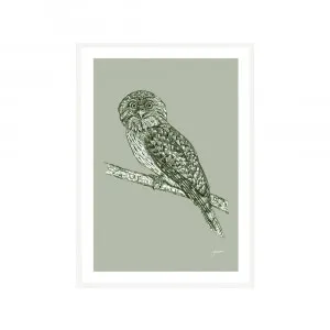 Tawny Frogmouth Australian Bird in Willow Green Fine Art Print | FRAMED White Boxed Frame A3 (29.7cm x 42cm) by Luxe Mirrors, a Artwork & Wall Decor for sale on Style Sourcebook