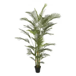 Potted Real Touch Artificial Palm Tree, 210cm by Florabelle, a Plants for sale on Style Sourcebook