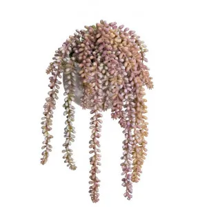 Glamorous Fusion Artificial Hanging Pearls Plant in Pot, Large, Purple by Glamorous Fusion, a Plants for sale on Style Sourcebook