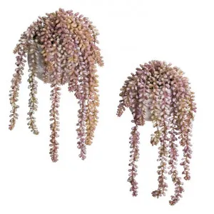 Glamorous Fusion 2 Piece Potted Artificial Hanging Pearls Plant Set, 35/38cm, Purple by Glamorous Fusion, a Plants for sale on Style Sourcebook