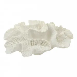 Flower Coral Sculpture 15x12cm in White by OzDesignFurniture, a Statues & Ornaments for sale on Style Sourcebook