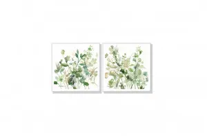 Set of 2 Sage Garden By Carol Robinson Wall Art Canvas 3 sizes available 50cm x 50cm by Luxe Mirrors, a Artwork & Wall Decor for sale on Style Sourcebook